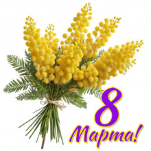 Букет мимозы к 8 Марта