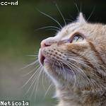 Старта Аудит Profile Picture
