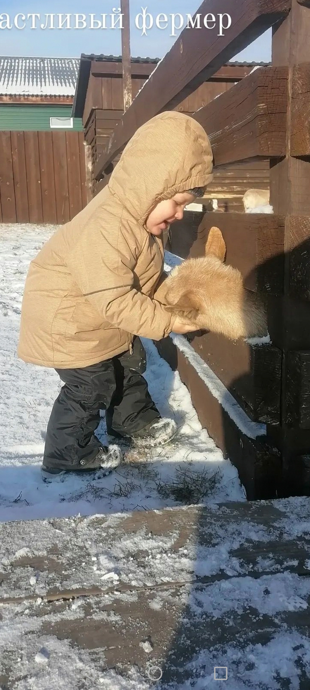 Фото Галереи памяти