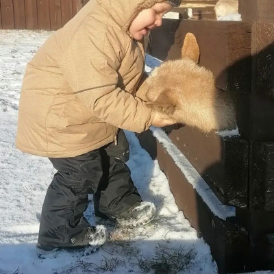 Фото галереи памяти